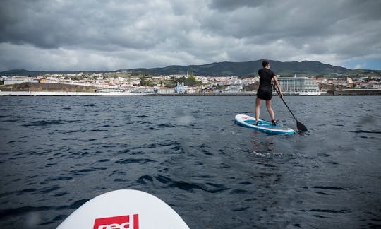 Stand Up Paddleboard Eco Tours in Açores, Portugal