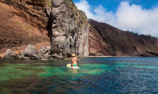 Stand Up Paddleboard Eco Tours in Açores, Portugal