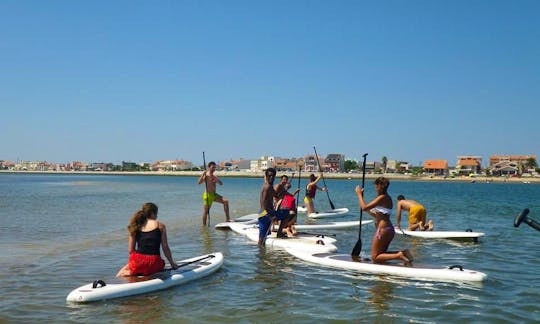 Stand Up Paddleboard Rental in Aveiro