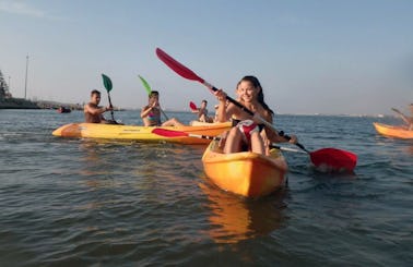 Kayaking Rental, Courses and Games in Aveiro