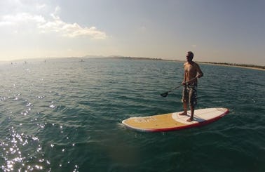SUP Rental, Courses and Tours in Fuseta