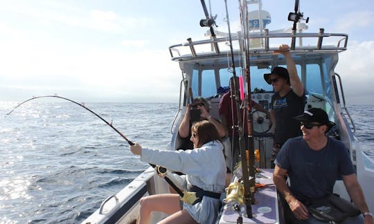 Enjoy 27' Head Boat "Destiny" in Cape Town, South Africa