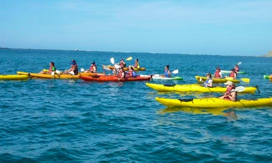 Double Kayak Rental & Tours in Sámara Beach
