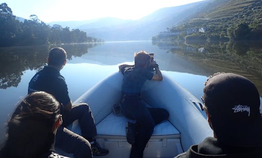 RIB Rental in Peso da Régua