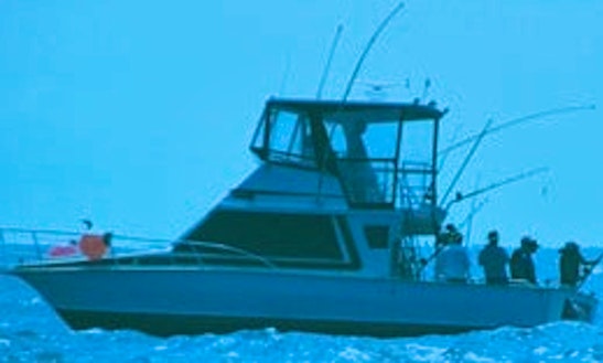Have A Good Time While Catching Big Fish In North Arm Cove, Australia