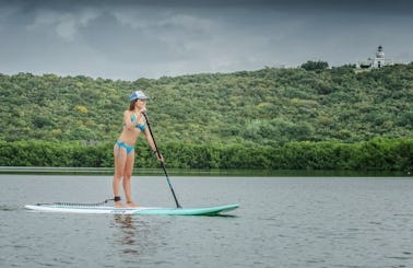 Stand Up Paddleboard Rental Experience