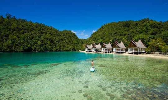 Tours y cursos de surf de remo y yoga en Loboc