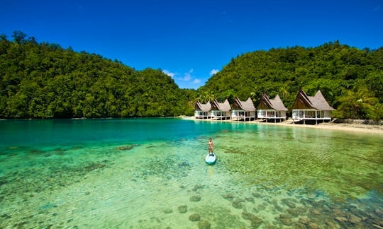 Stand Up Paddleboard Yoga, Tours & Courses in Loboc