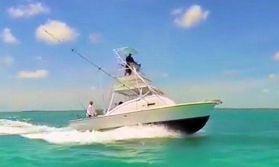 charter boat fishing in key largo fishing charters in key largo charter boat fishing in key largo fishing charters in key largo