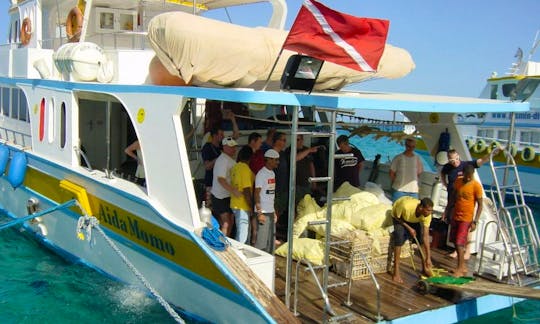 'Aida Momo' Yacht Diving Trips & Courses in Hurghada