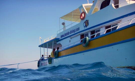 'Monika 1' Yacht Diving Trips & Courses in Hurghada