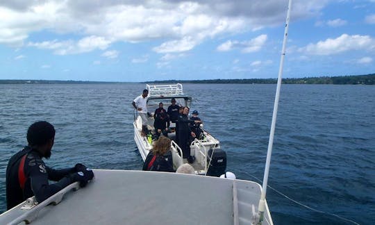 23' Motor Boat Fishing & Diving Trips in Rue San Michel, Vanuatu
