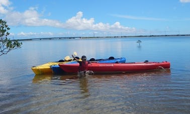 Profitez d'une excursion en kayak de mer à l'extrémité ouest de l'île d'Iriomote au Japon