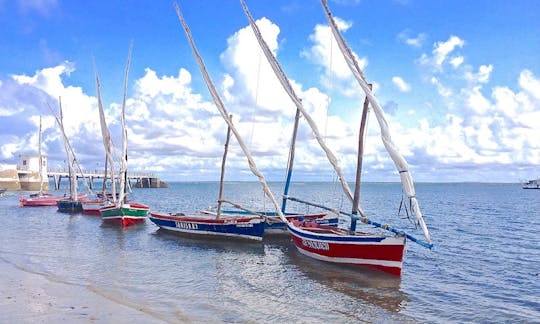 Baobab Dhow Safari Trips in Ilha de Moçambique