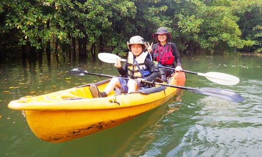 Piragüismo de mar para 2 personas en la isla de Iriomote en Japón