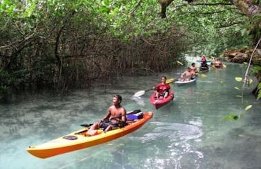 Memorable Single Kayak Trip in Koror, Palau