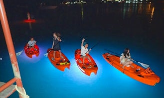 Night Time Guided Paddleboard Trips in Ko Samui, Thailand