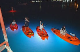 Night Time Guided Paddleboard Trips in Ko Samui, Thailand