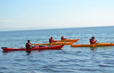 Sea Kayak Tours In Brodick