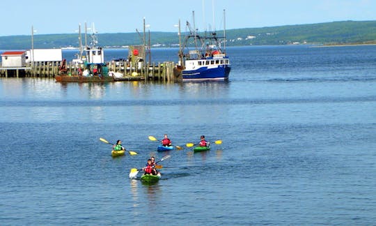 Alquiler de kayak Riot Single en Digby