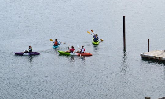 Riot Single Kayak Rental in Digby