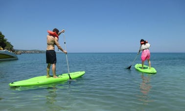 Alquiler de tablas de surf de remo en Digby