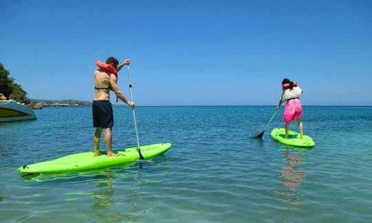 Stand Up Paddleboard Rental in Digby