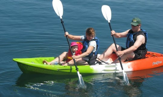 Feel-Free Double Kayak Rental in Digby