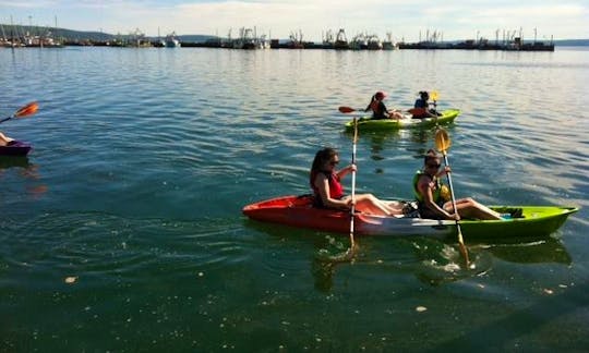 Feel-Free Double Kayak Rental in Digby