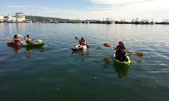 Feel-Free Double Kayak Rental in Digby