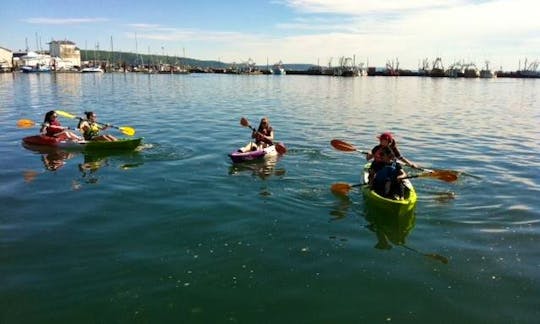 Feel-Free Double Kayak Rental in Digby