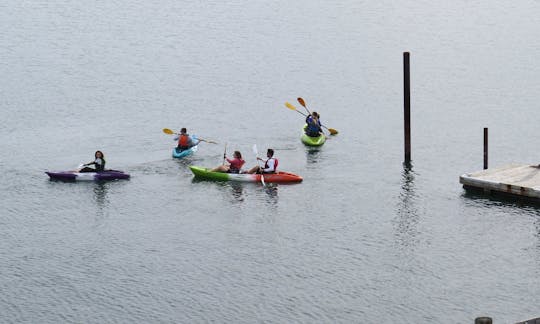 Feel-Free Double Kayak Rental in Digby