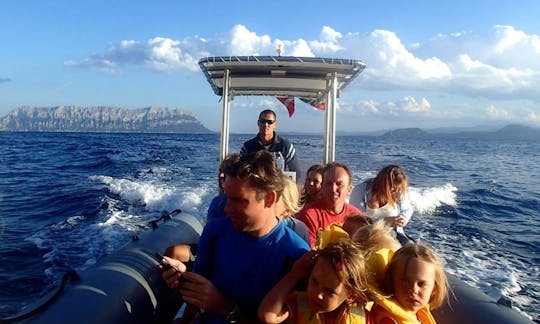 Diving in Golfo Aranci, Italy