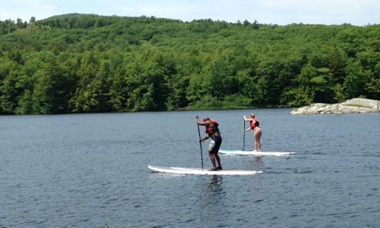 Paddleboard Rental in Torquay, United Kingdom