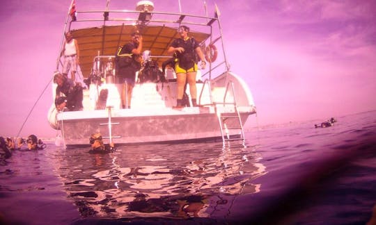 Diving Trips in Protaras, Cyprus