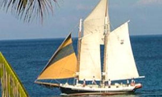 Charter 42ft Cruising Monohull Trips In Puerto Vallarta, Mexico