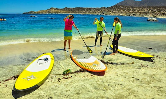 Stand Up Paddleboard Classes in Coquimbo