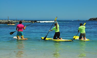 Stand Up Paddleboard Classes in Coquimbo