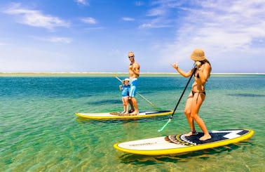 Stand Up Paddleboar Rental and Lesson in Plettenberg Bay