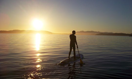 Aluguel e passeios de paddleboard em Tofino