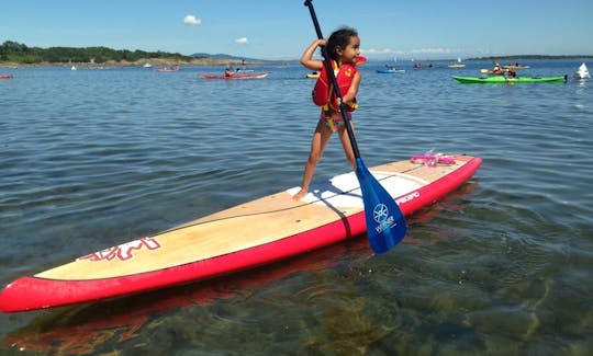 Aluguel e passeios de paddleboard em Tofino