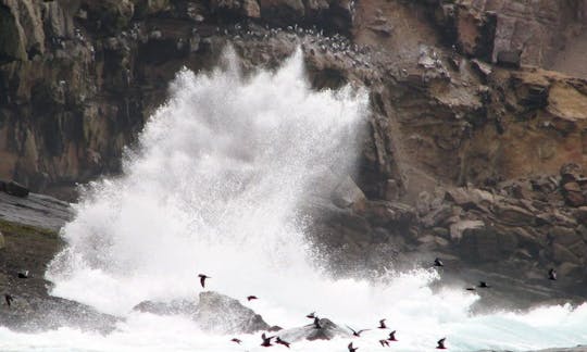 Passenger Boat Trips in Callao, Peru