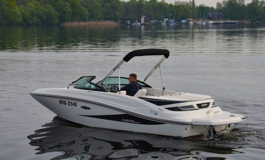 Rent the Sea Ray 190 Bowrider In Werder (Havel)