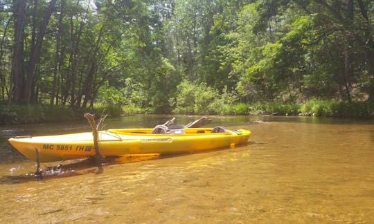 Tandem Riviera Kayak Rental in Pleasant Plains Township