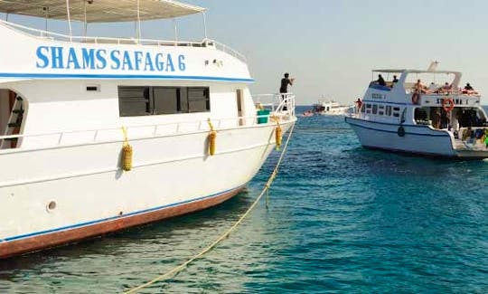 Diving Trips in Safaga, Egypt
