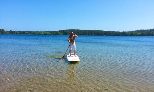 Stand Up Paddleboard Rental & Lessons in Wellfleet
