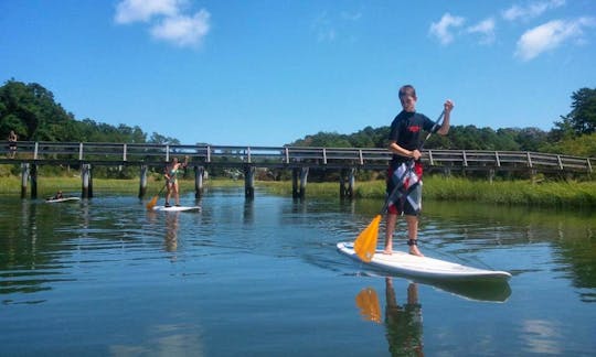 Stand Up Paddleboard Rental & Lessons in Wellfleet