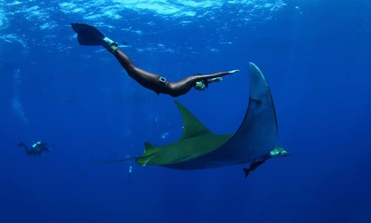 Plongée sous-marine aux Açores