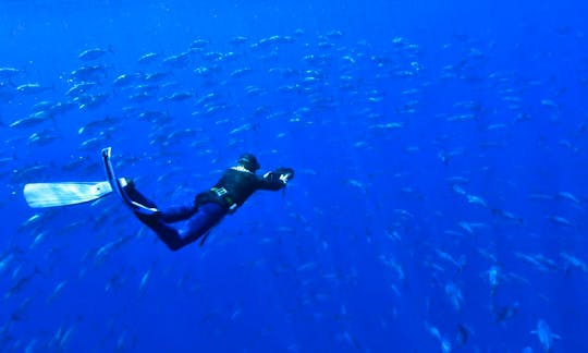 Scuba Diving In Azores