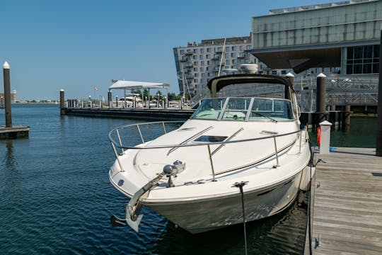 Sea Ray 310 (33ft) - Boston Harbor & Surrounding Islands